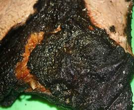 Beef Menu